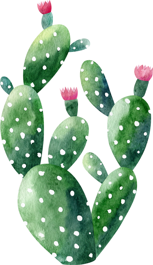 Watercolor cactus illustration.